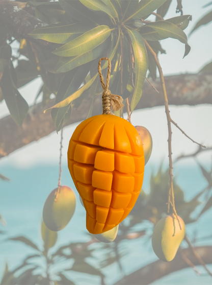 Mango Soap